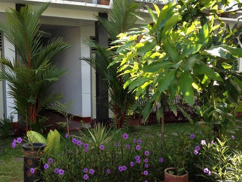 Mango Guesthouse Pangandaran Exteriör bild